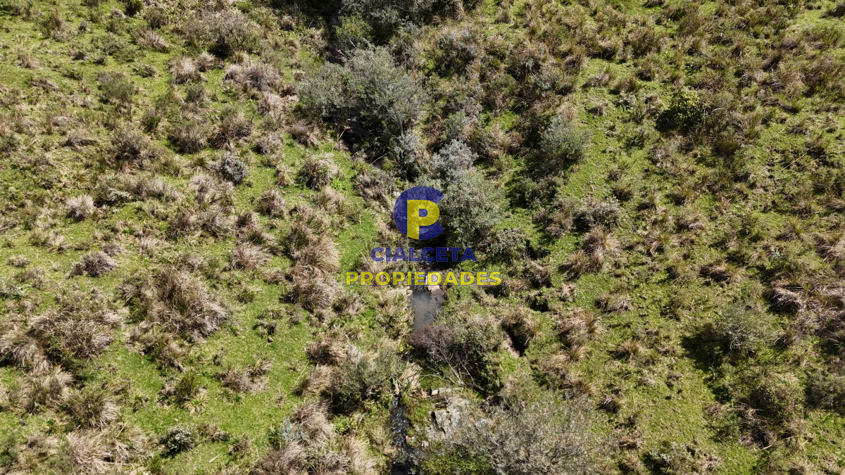 Chacra ID.535 - 3 hectáreas a 25 km de San Carlos, se financian