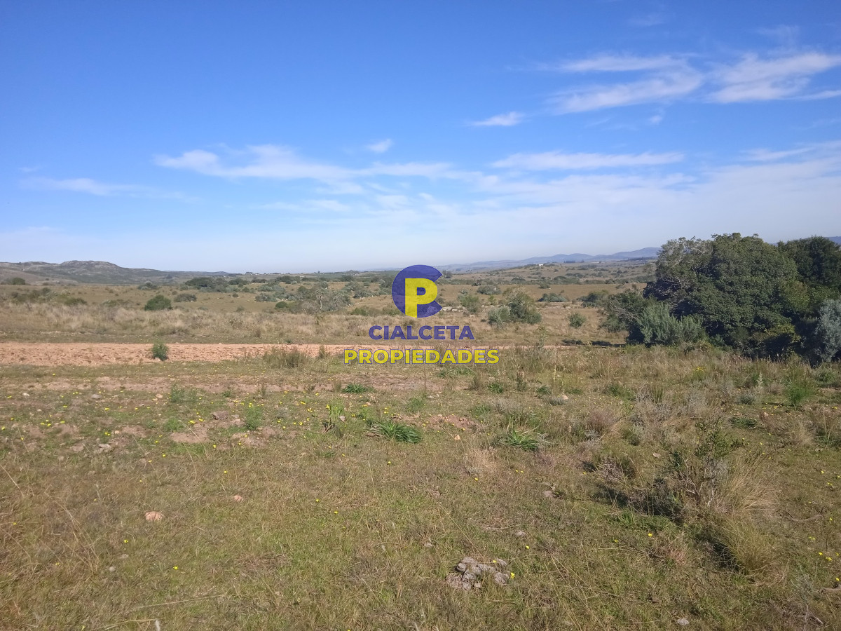 Las Cañas - GoPunta - Portal Inmobiliario de Punta del Este - Maldonado