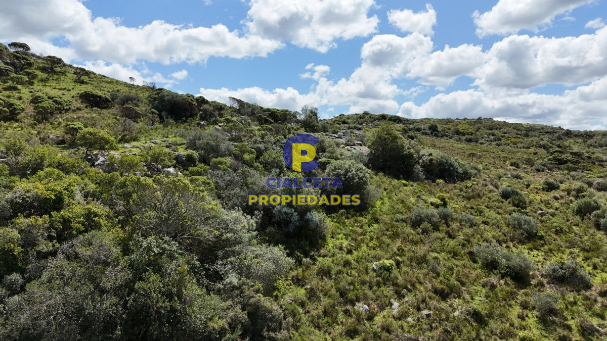 Chacra ID.533 - Chacra de 3 hectáreas financiada a 28 minutos de San Carlos