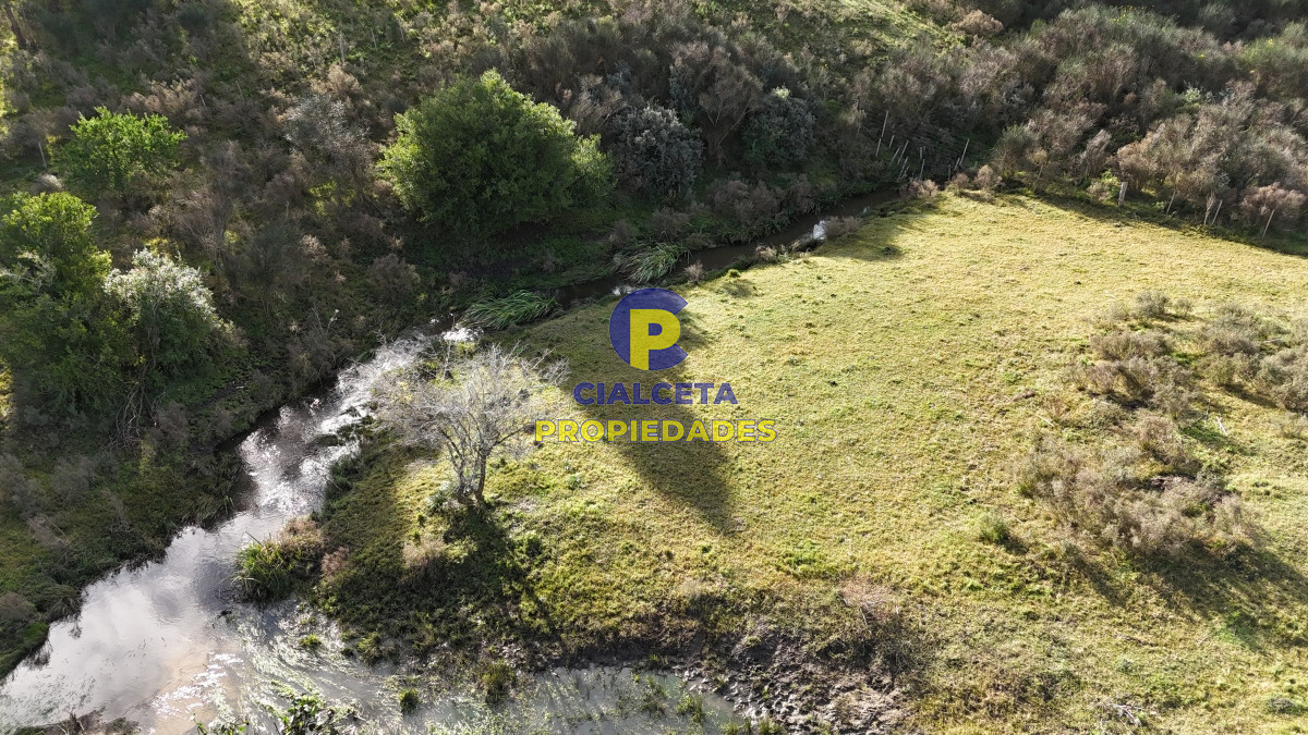 Chacra ID.453 - 9 hectáreas y media con arroyo en el fondo