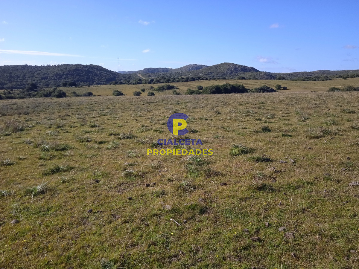 Chacra ID.44 - 5 hectáreas en ruta 39