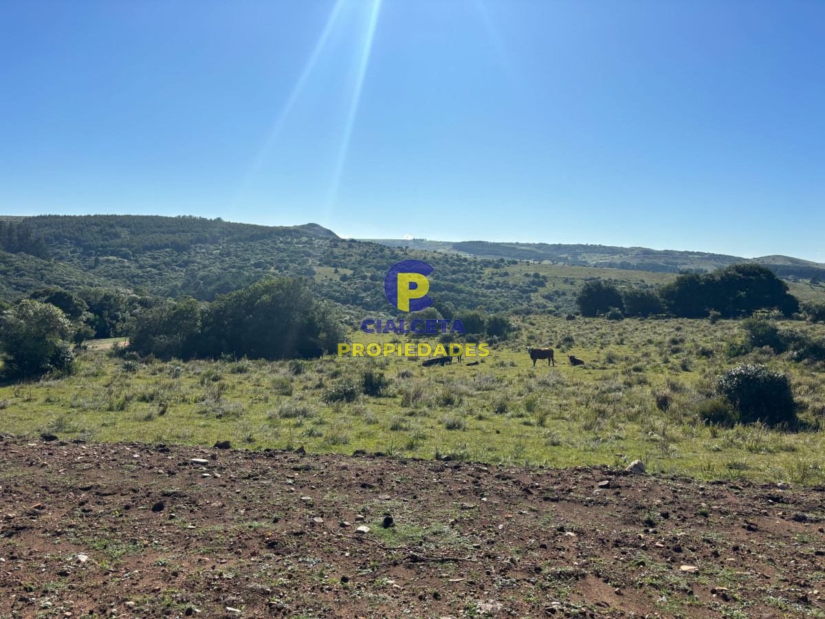 Chacra ID.570 - chacras de 5 hectáreas a minutos de Pueblo Edén, se financian