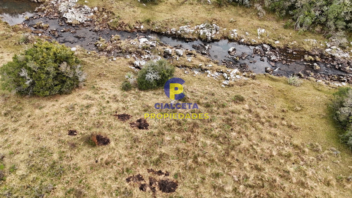 Chacra ID.479 - 14 hectáreas y media con población y arroyito en el fondo