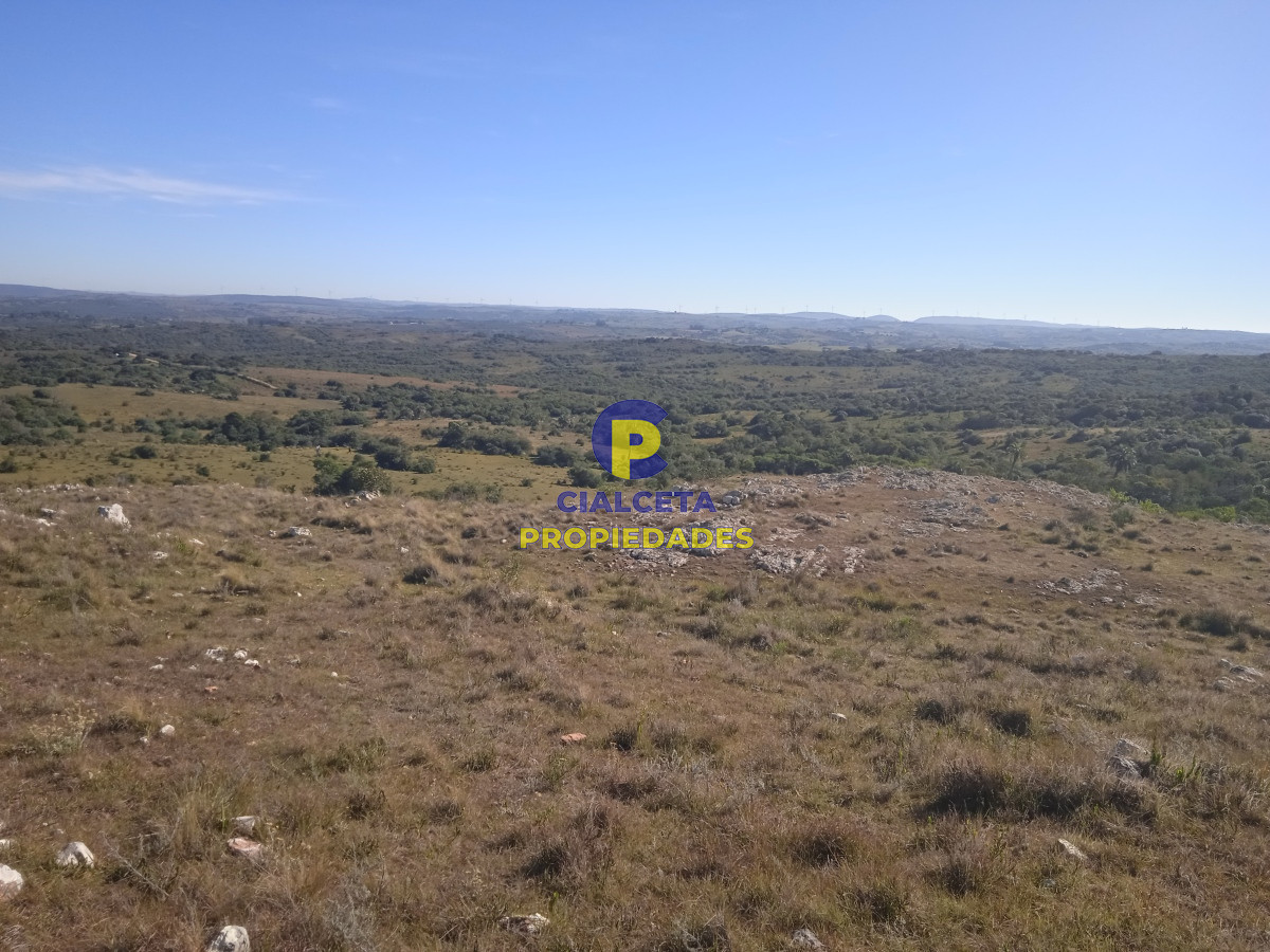 Chacra ID.380 - 5 hectáreas, entrega y saldo en 60 cuotas