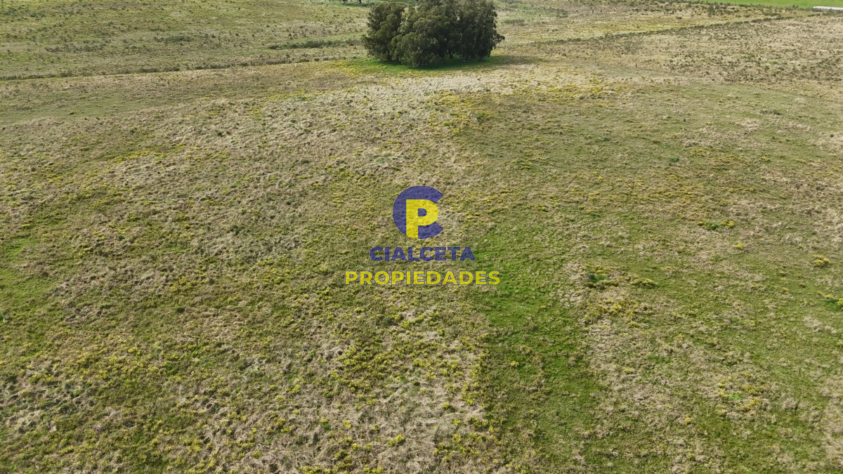 Chacra ID.529 - 3 hectáreas en Noya, departamento de Canelones