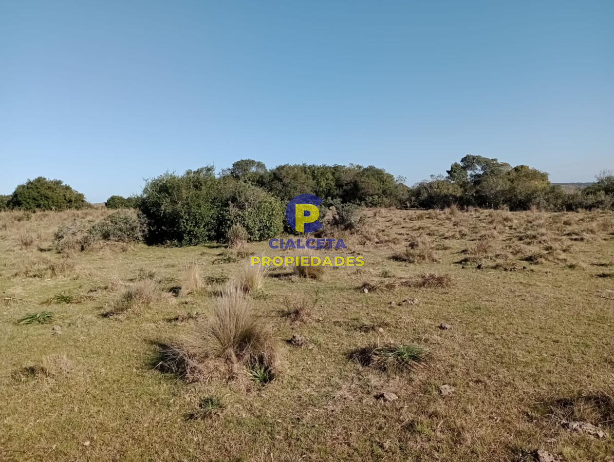 Chacra ID.276 - 5 hectáreas en Garzón