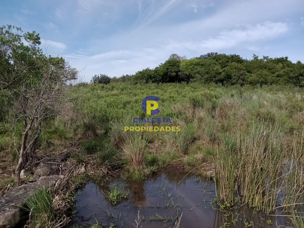 Chacra ID.438 - 5 hectáreas en Pueblo Edén, con casa nueva