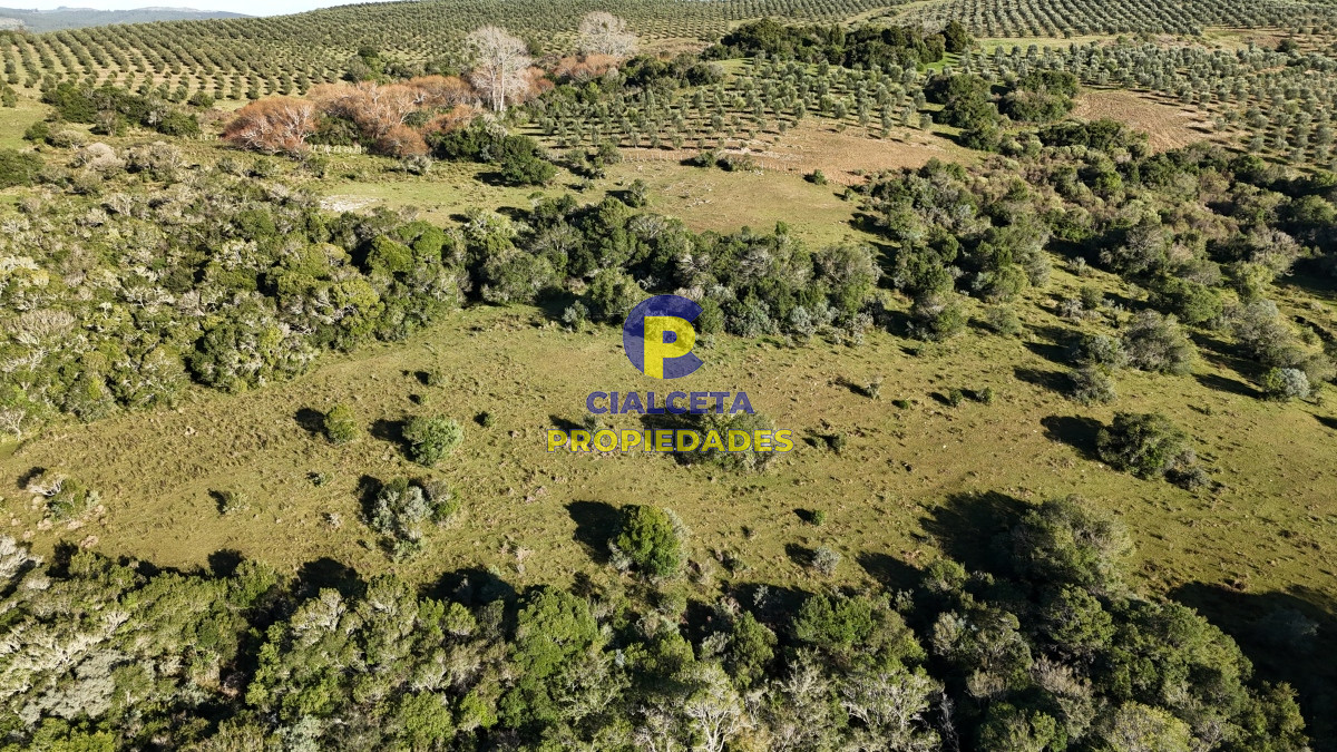 Chacra ID.455 - 5 hectáreas en Zanja del Tigre