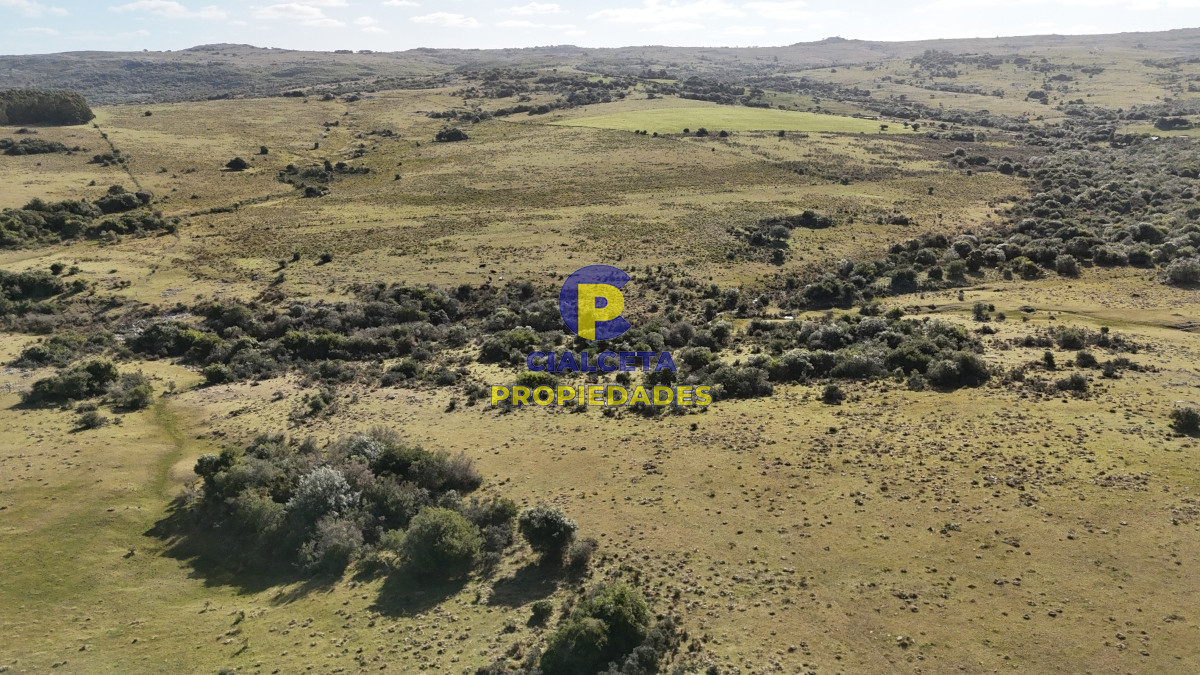 Chacra ID.485 - 7 hectáreas con cañada a 20 km de San Carlos