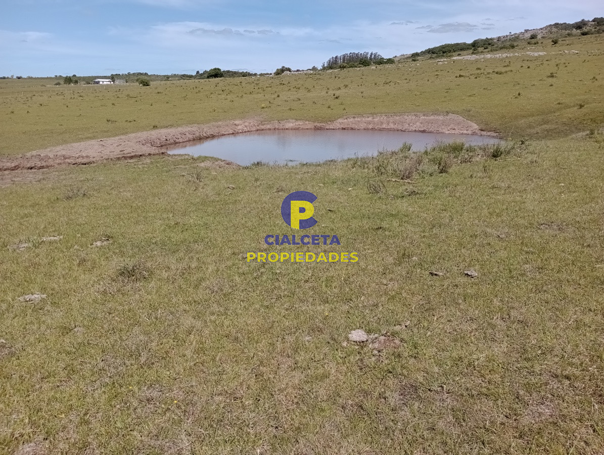 Chacra ID.208 - 5 hectáreas en Pueblo Edén