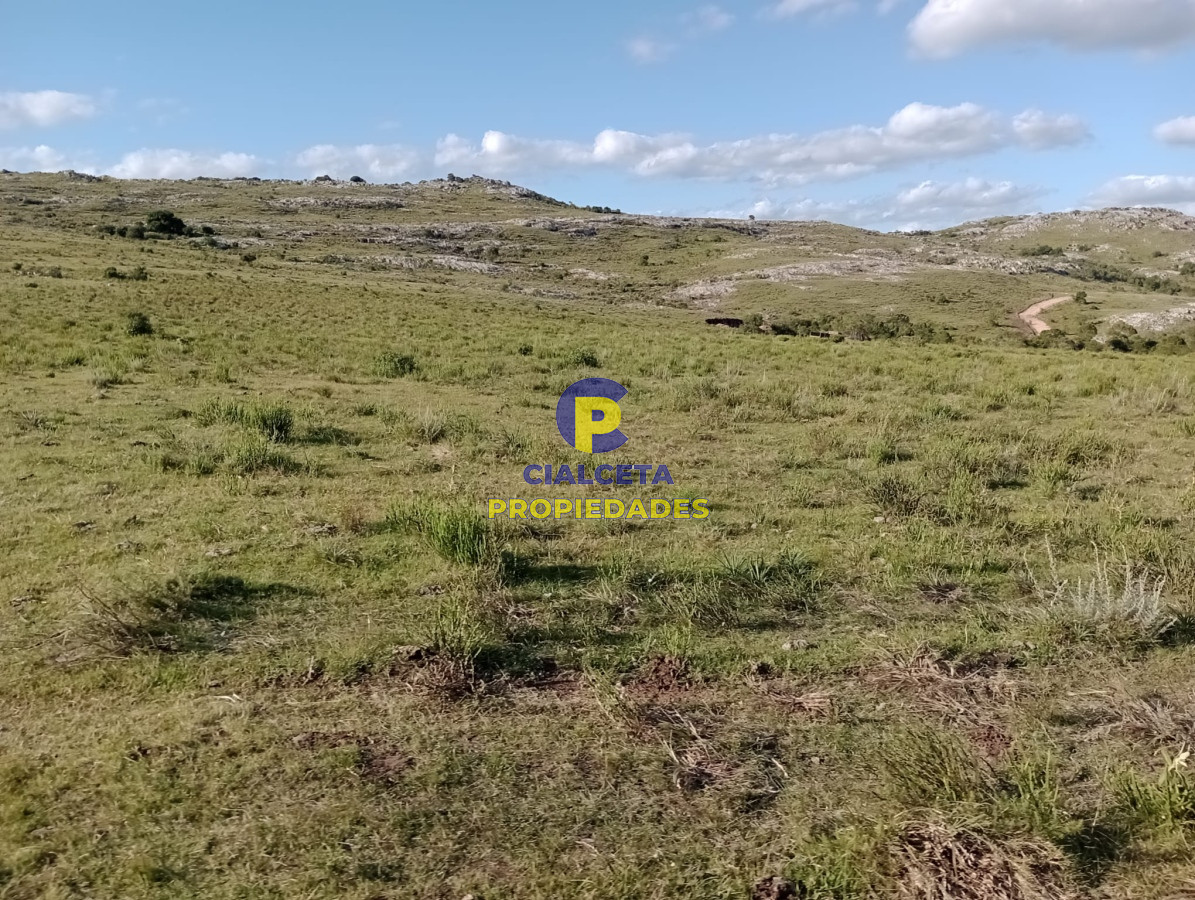 5 hectáreas, 65.000 U$S, se financia