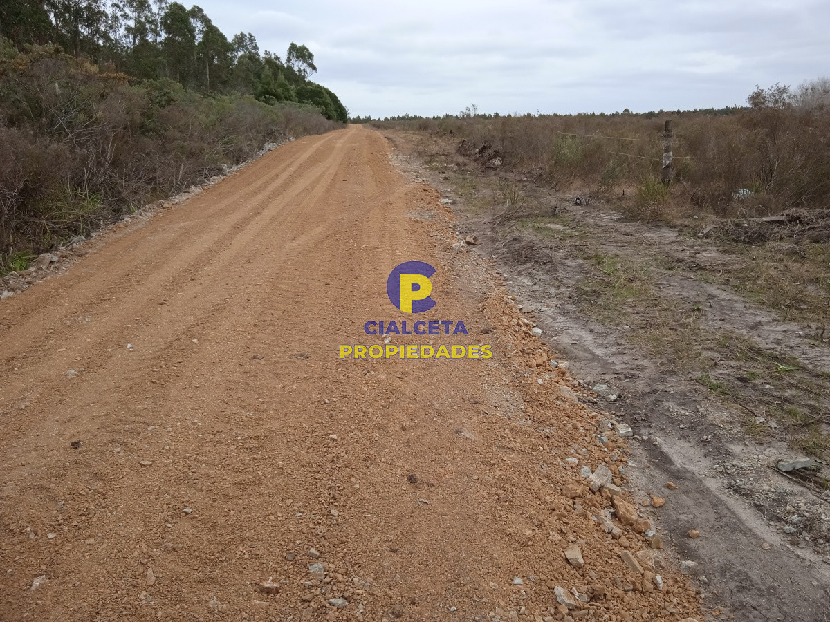 Chacra ID.201 - 3 hectáreas en Canelones