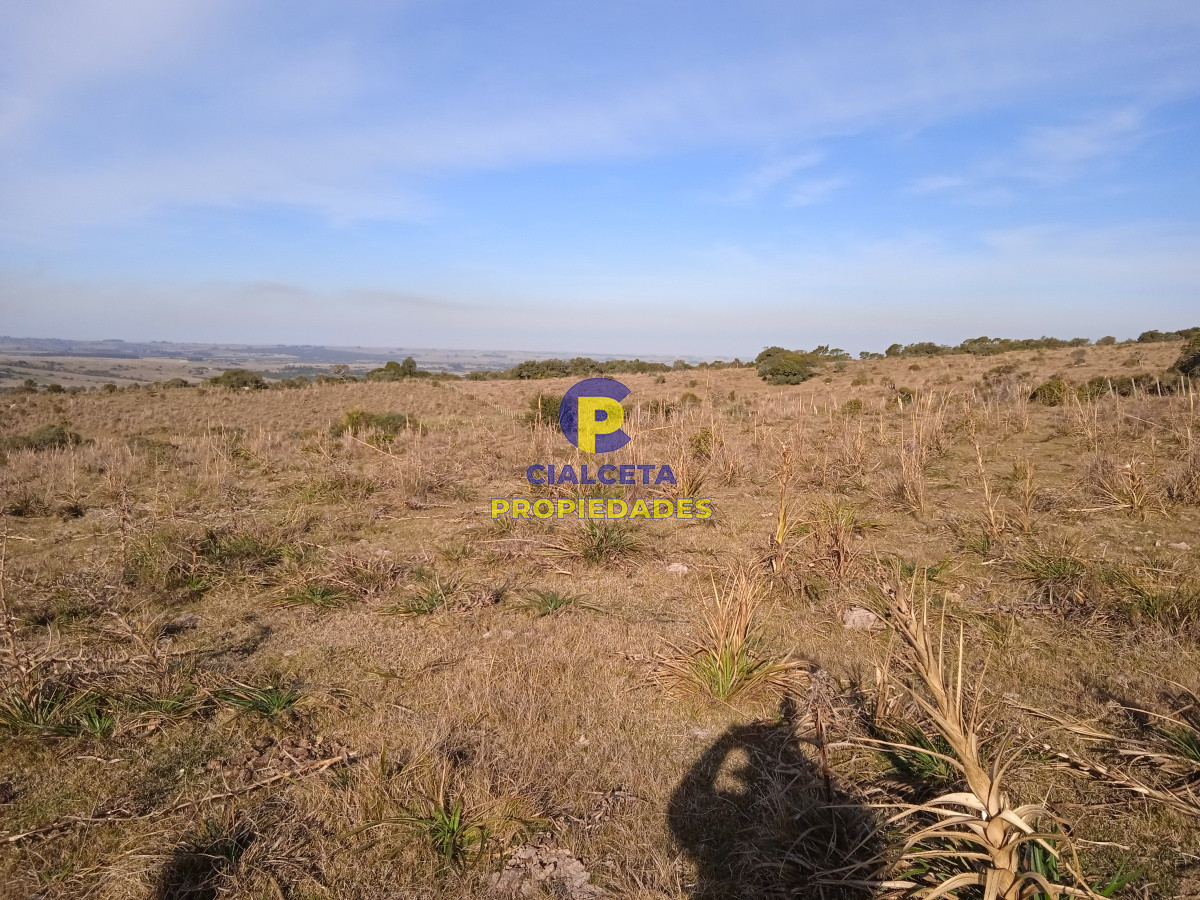 Chacra ID.204 - 5 hectáreas en Garzón