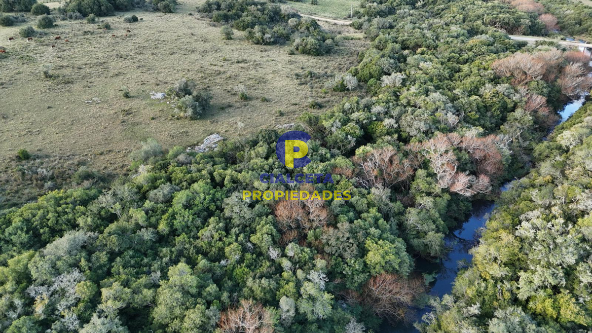 Chacra ID.571 - 3 hectáreas en Pueblo Edén con arroyo y monte nativo