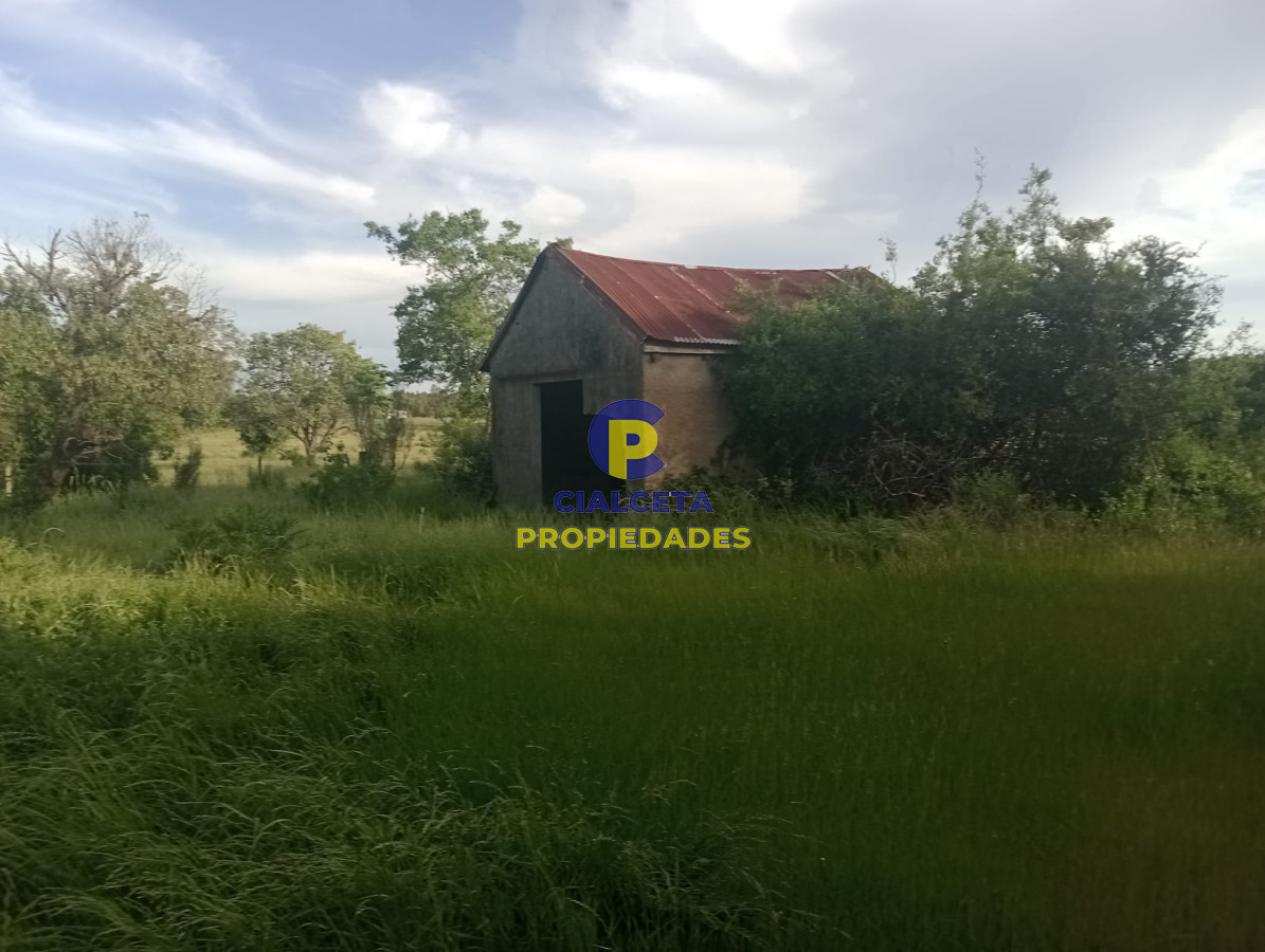 Chacra ID.389 - 3 hectáreas con casa a reparar en Soca