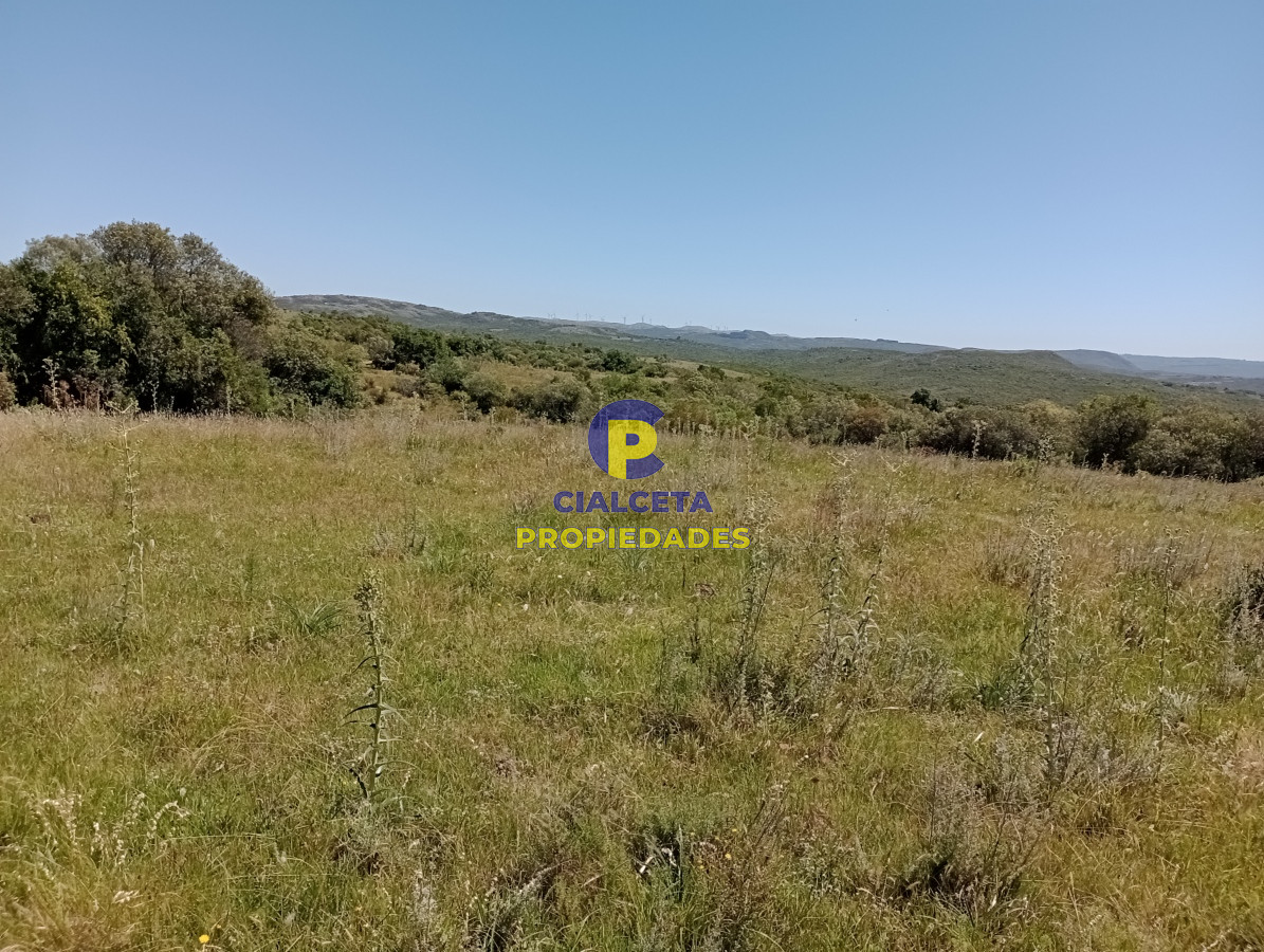 Chacra ID.302 - 5 hectáreas en Maldonado, entrega 20 mil dólares