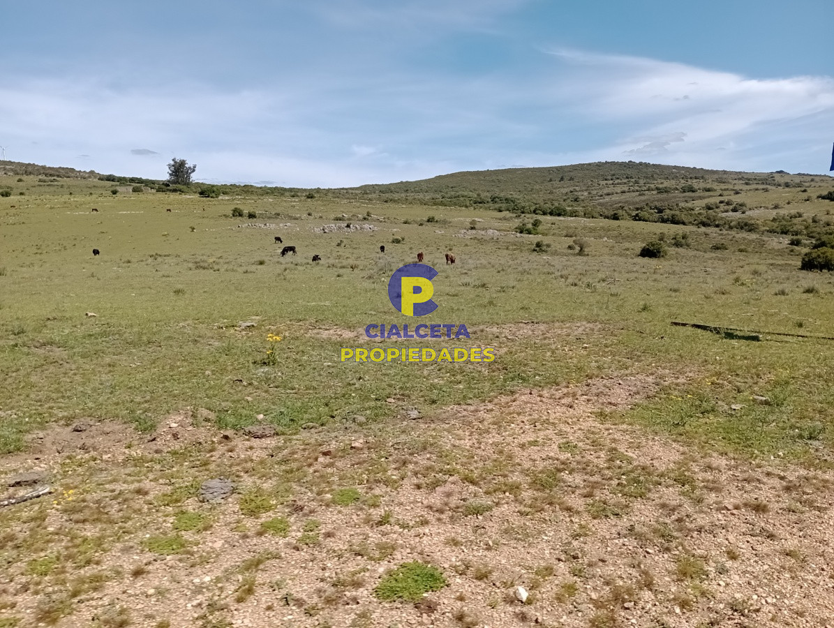 Chacra ID.208 - 5 hectáreas en Pueblo Edén