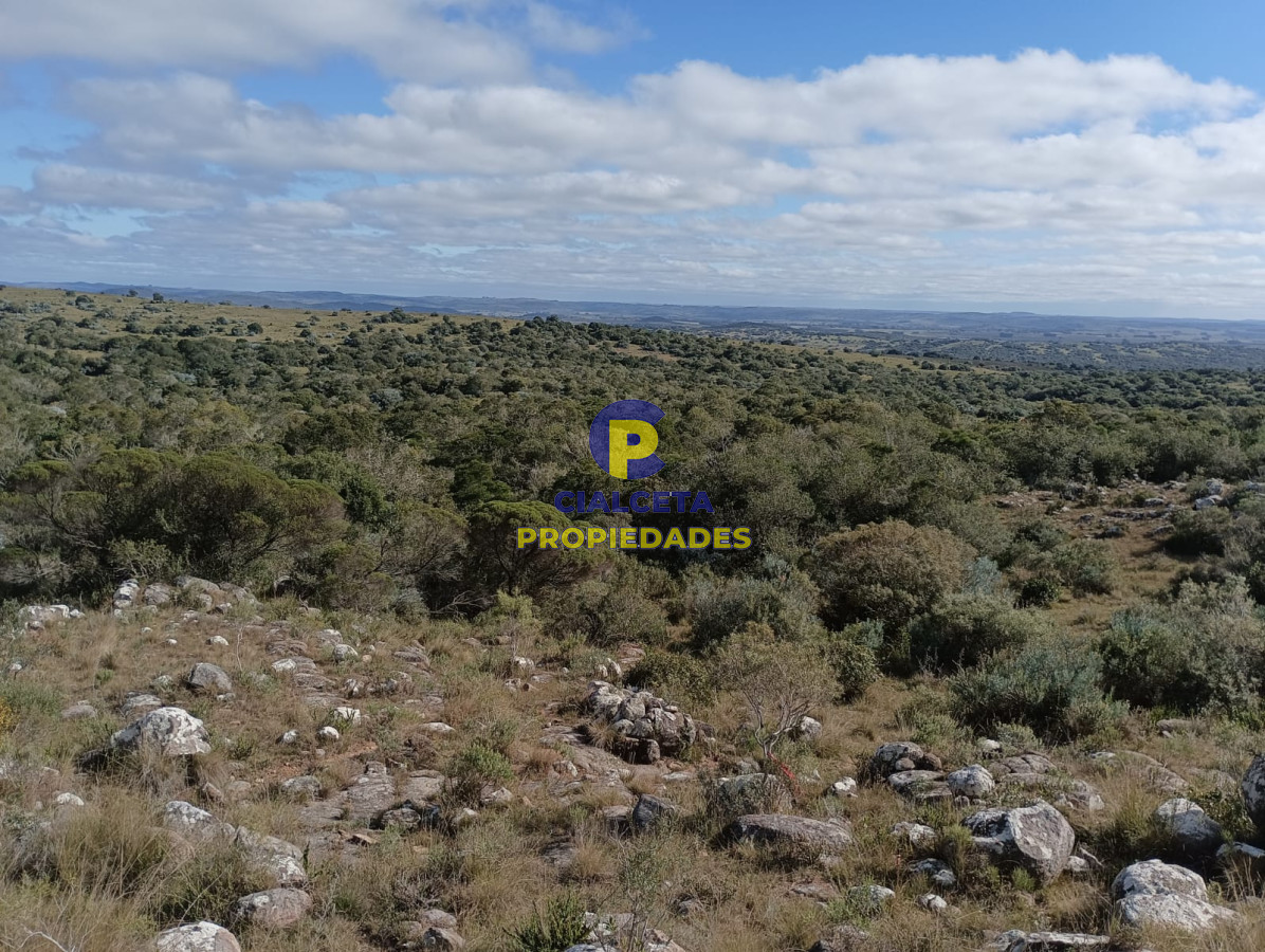 Chacra ID.524 - 8 hectáreas en Maldonado, con monte nativo