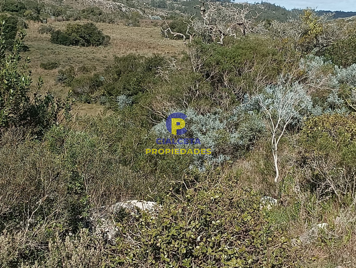 Chacra ID.524 - 8 hectáreas en Maldonado, con monte nativo