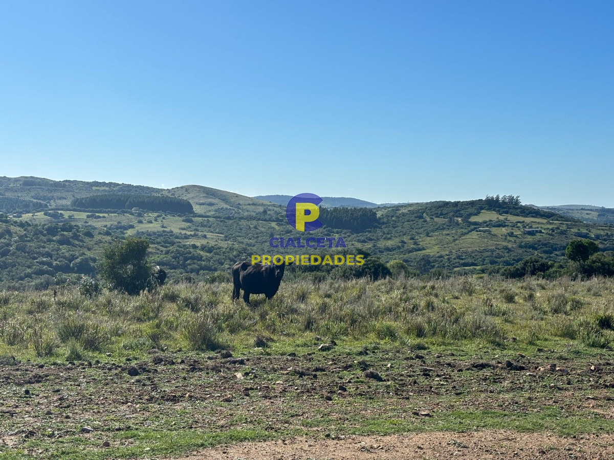 Chacra ID.570 - chacras de 5 hectáreas a minutos de Pueblo Edén, se financian