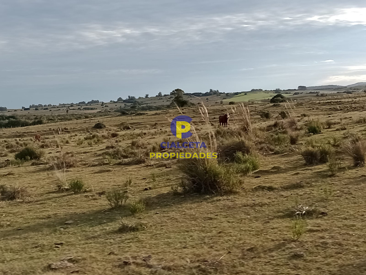 Chacra ID.268 - 5 hectáreas en Malonado