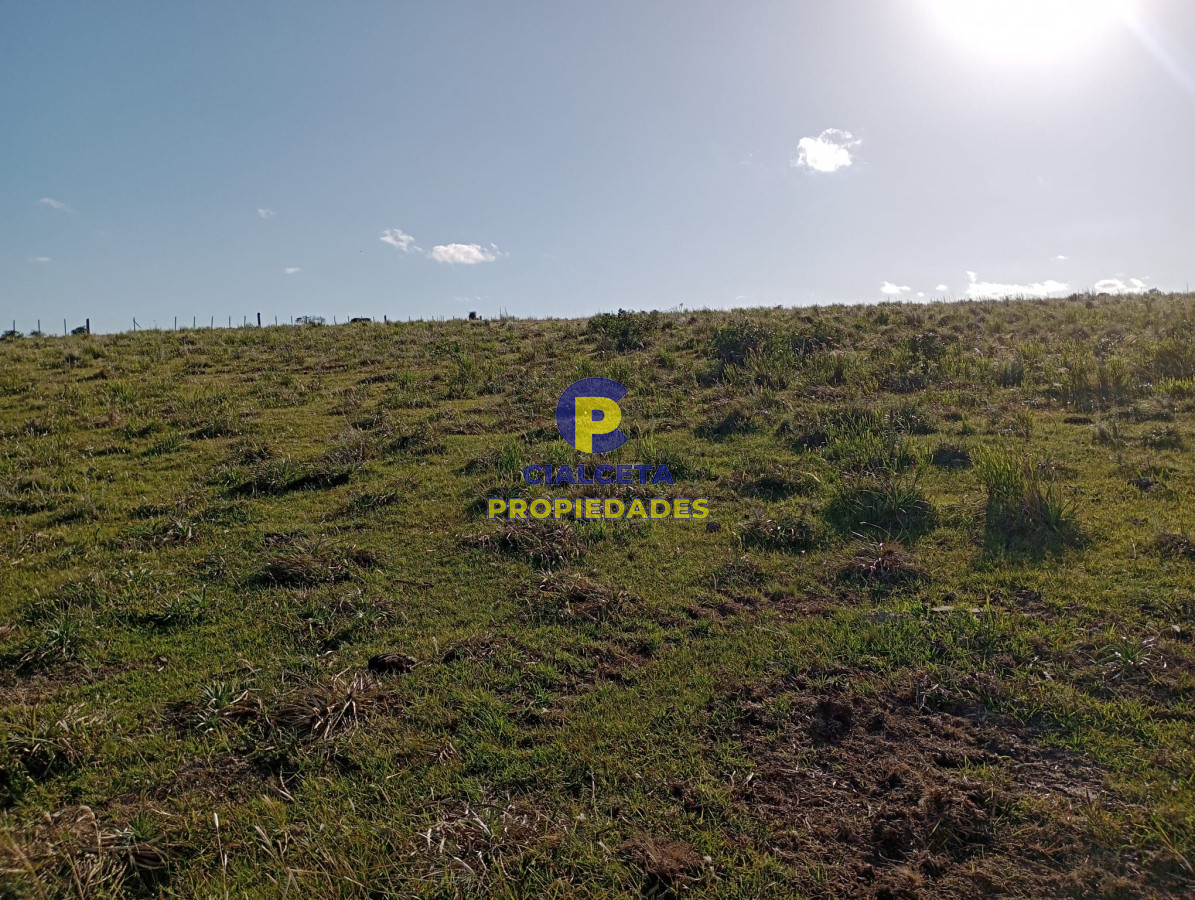 Maldonado - GoPunta - Portal Inmobiliario de Punta del Este - Maldonado