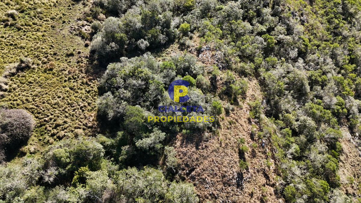Chacra ID.471 - 5 hectáreas, entrega 19.800 y saldo en 60 cuotas