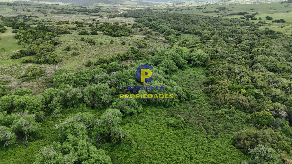 Chacra ID.560 - 4 hectáreas con 6.600 metros con monte y arroyo