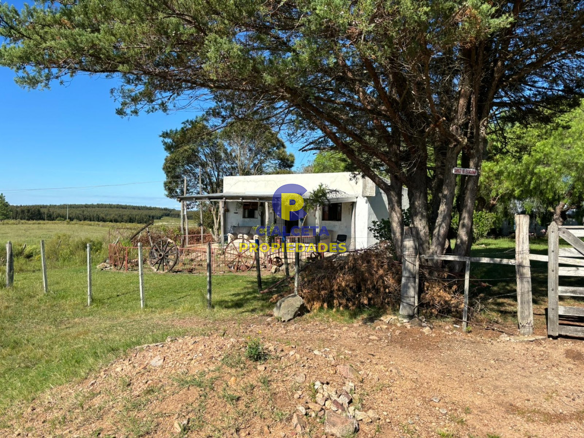 Chacra ID.409 - 8 hectáreas con casa y galpón