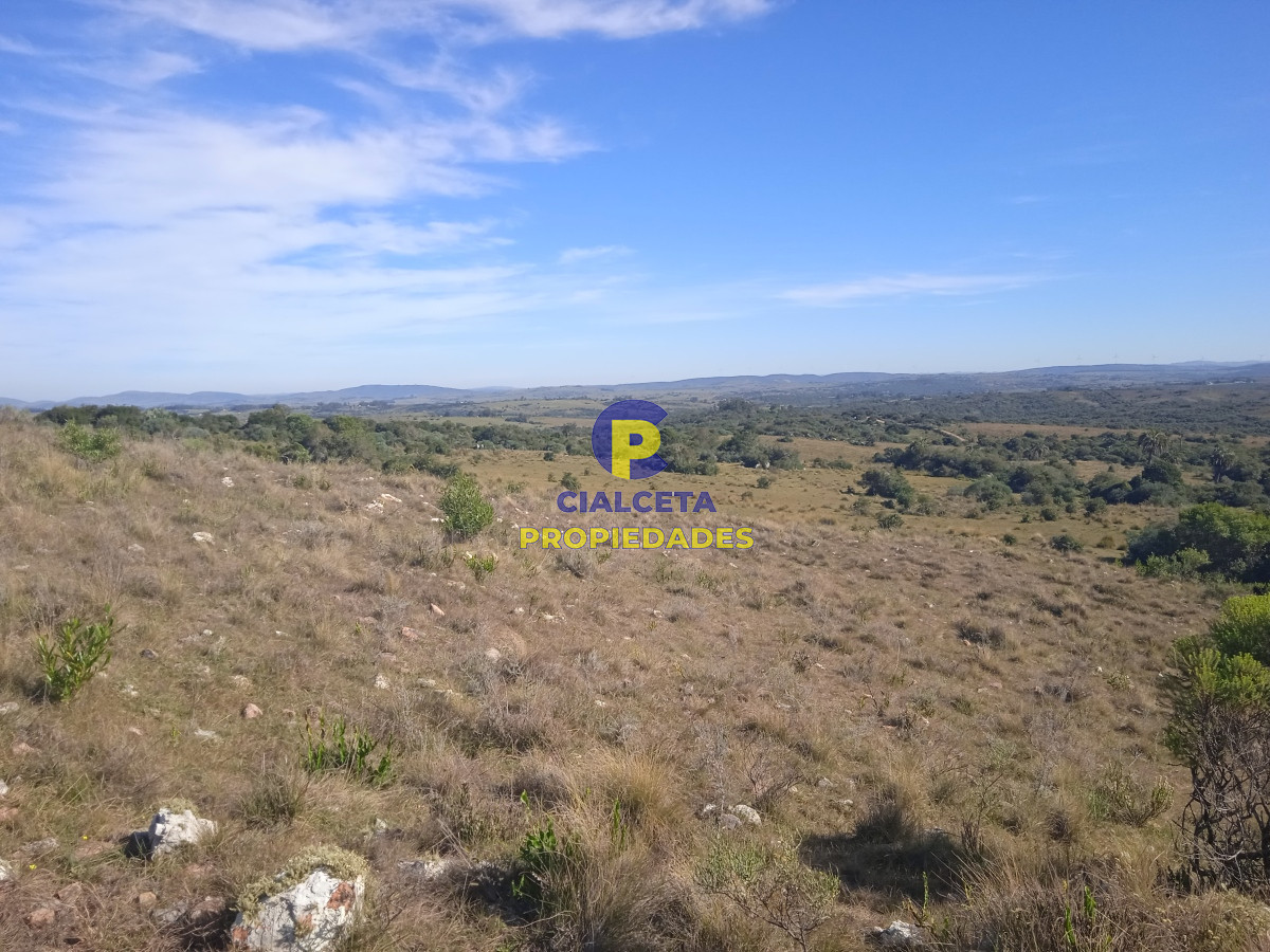 Las Cañas - GoPunta - Portal Inmobiliario de Punta del Este - Maldonado