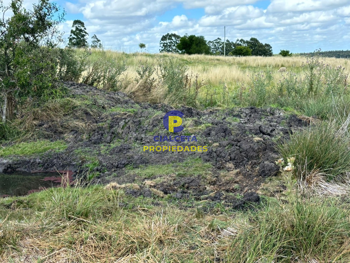 Chacra ID.396 - 3 hectáreas y media en Migues, se financia !!!!, oportunidad