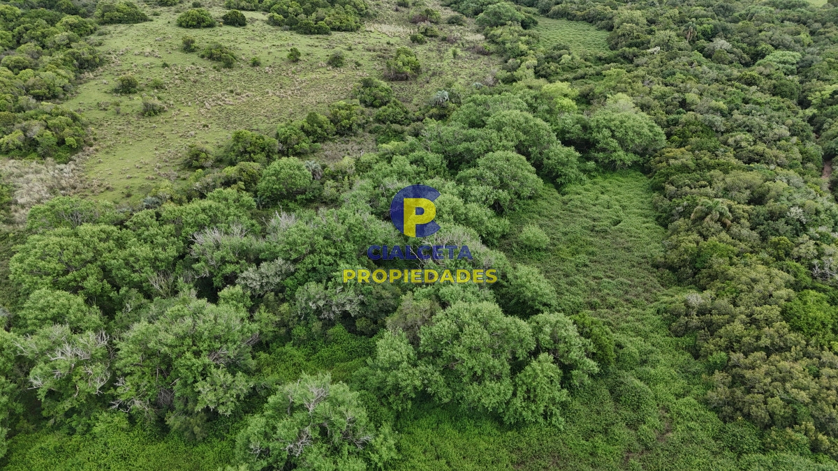 Chacra ID.560 - 4 hectáreas con 6.600 metros con monte y arroyo