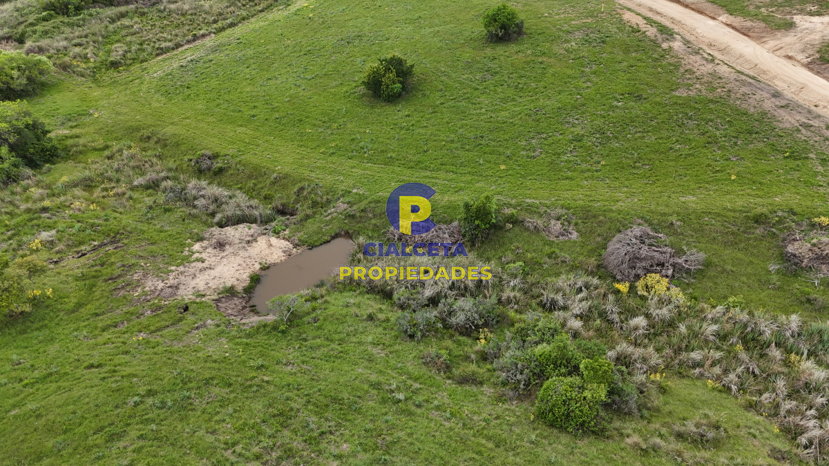 Chacra ID.558 - 3 hectáreas en Paso de La Cantera