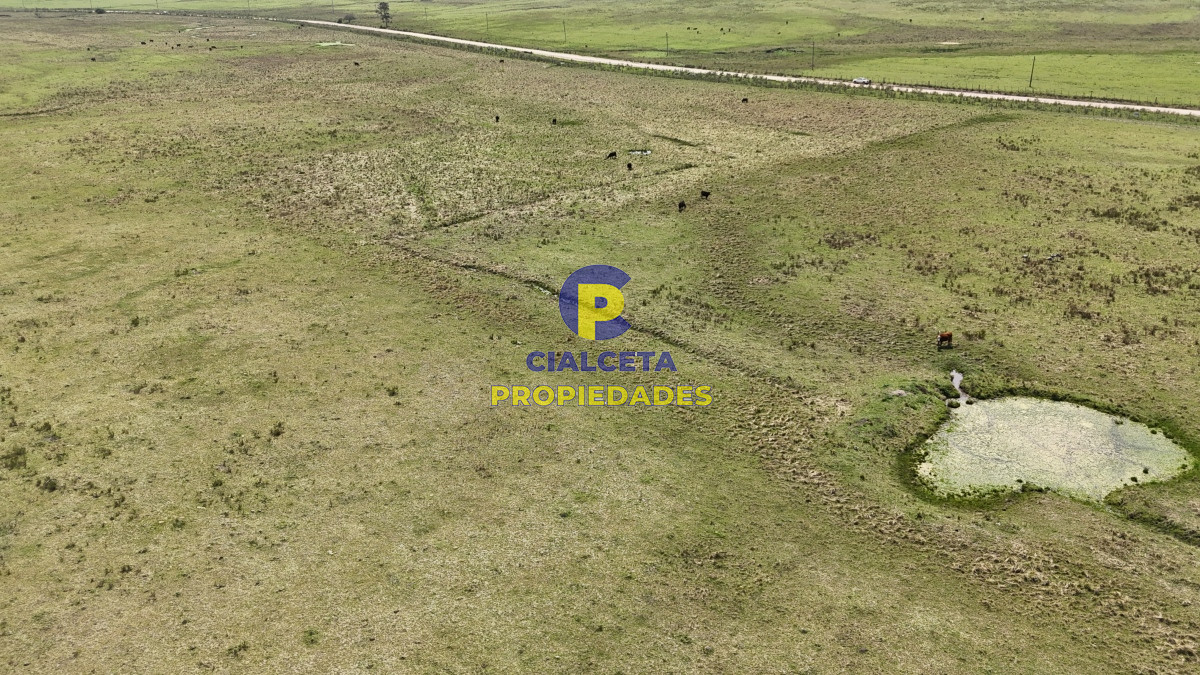 Chacra ID.531 - 5 hectáreas en Lavalleja con tajamar