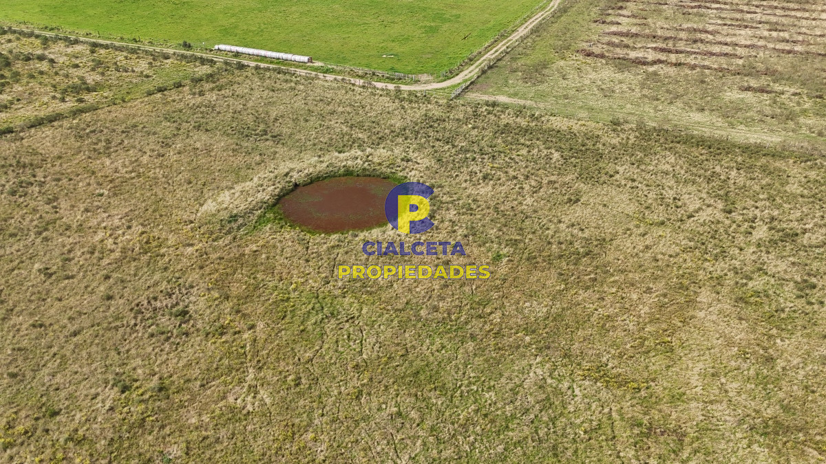 Chacra ID.529 - 3 hectáreas en Noya, departamento de Canelones