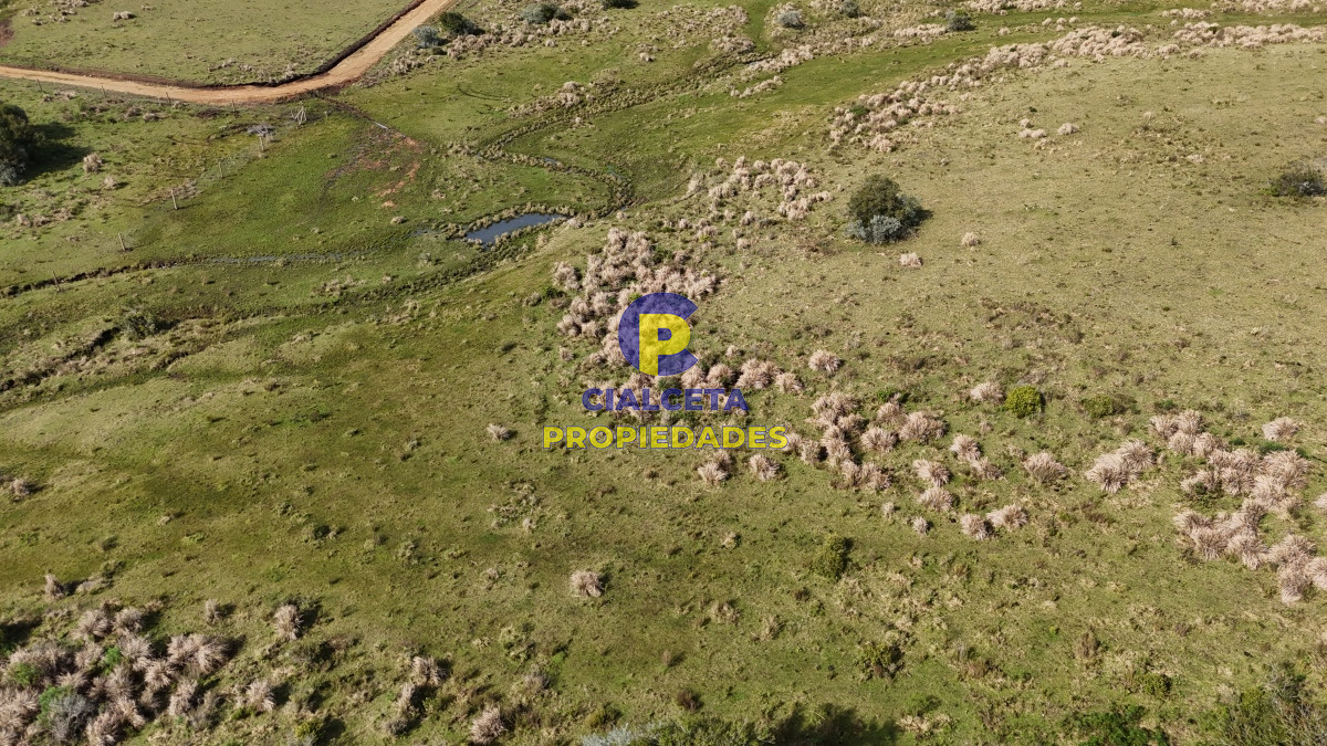 Chacra ID.519 - chacra de 3 hectáreas en maldonado, entrega de 14.600 y cuotas