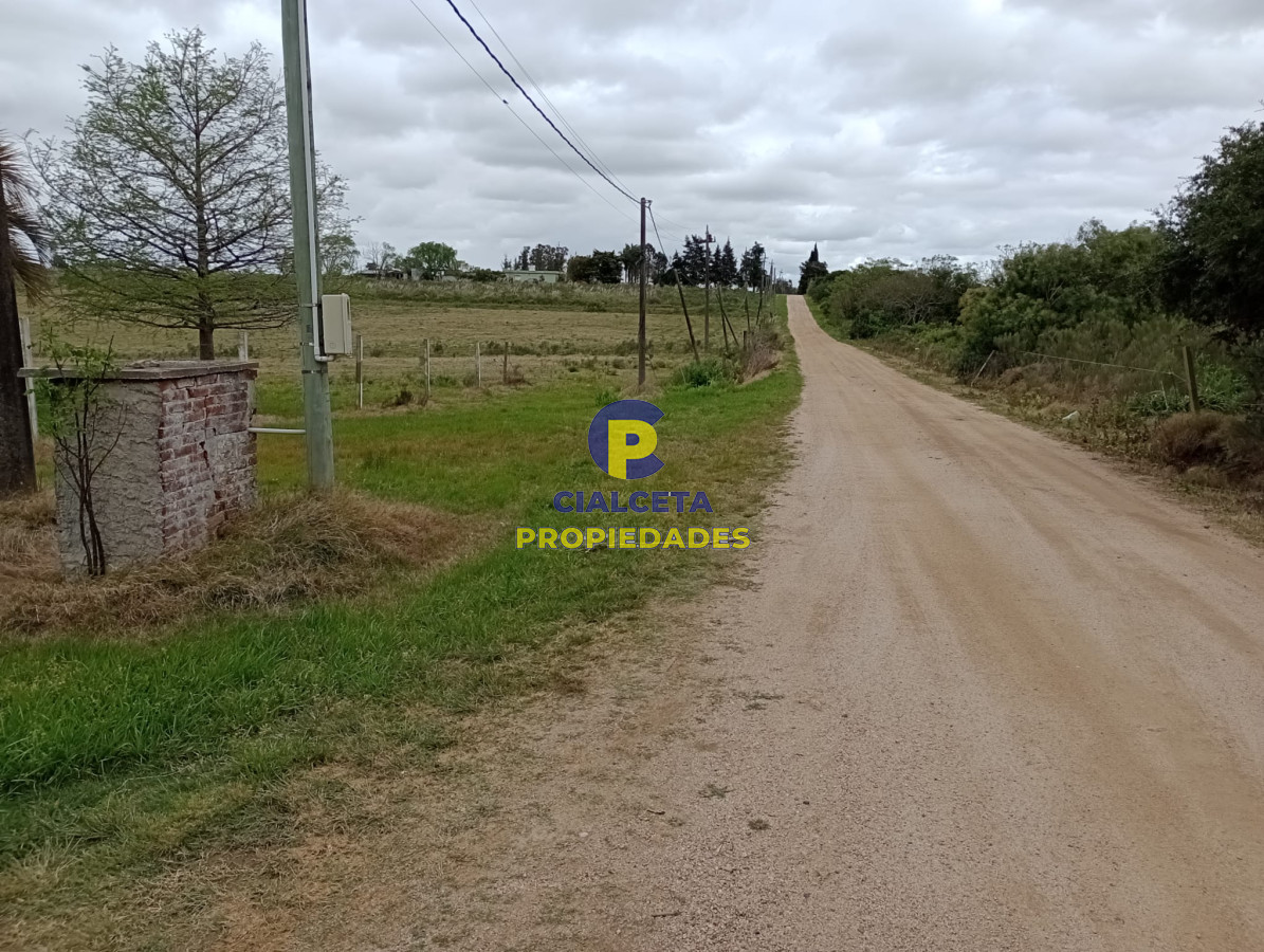 Chacra ID.311 - 5 hectáreas con 8.000 mts en Canelones