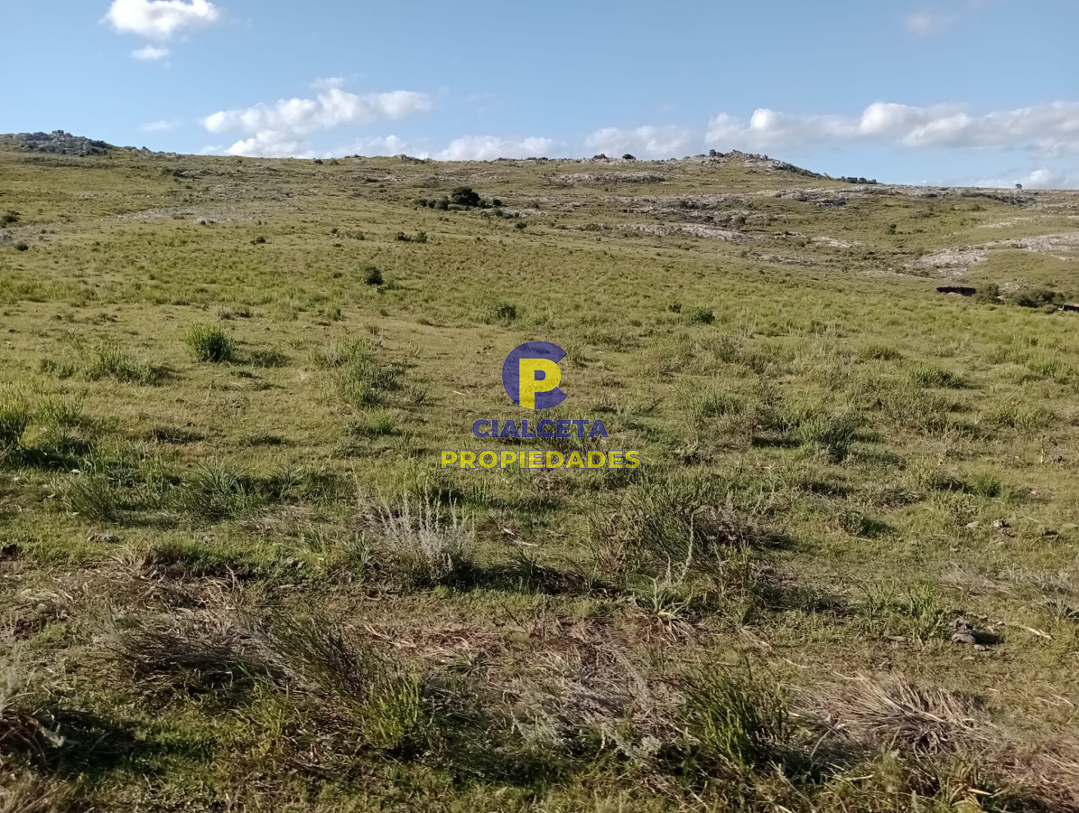 Maldonado - GoPunta - Portal Inmobiliario de Punta del Este - Maldonado