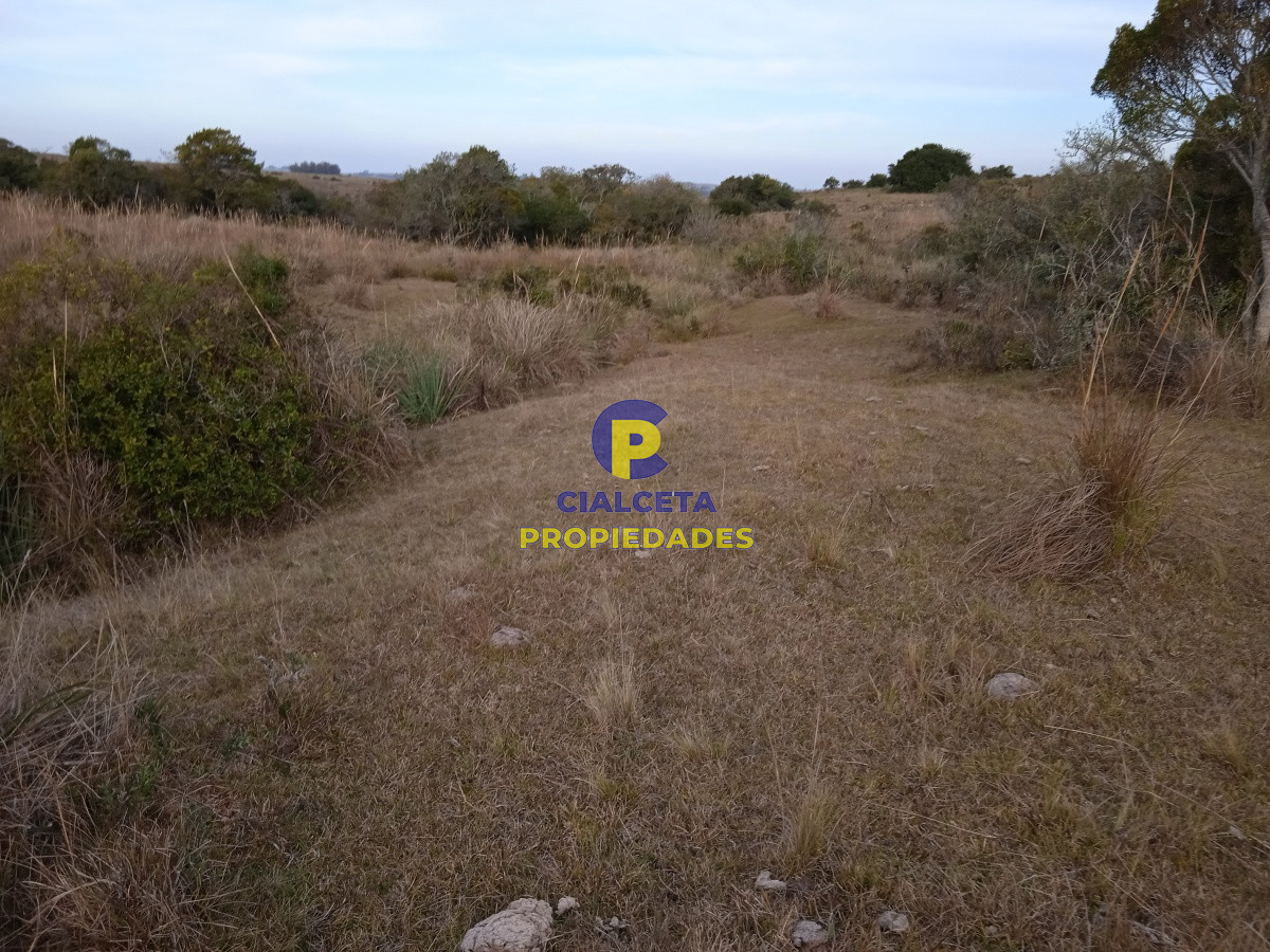Chacra ID.157 - 10 hectáreas en Garzón