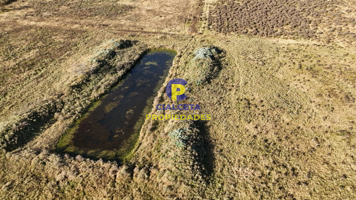 Chacra ID.486 - 10 hectáreas y media con casa y dos represas