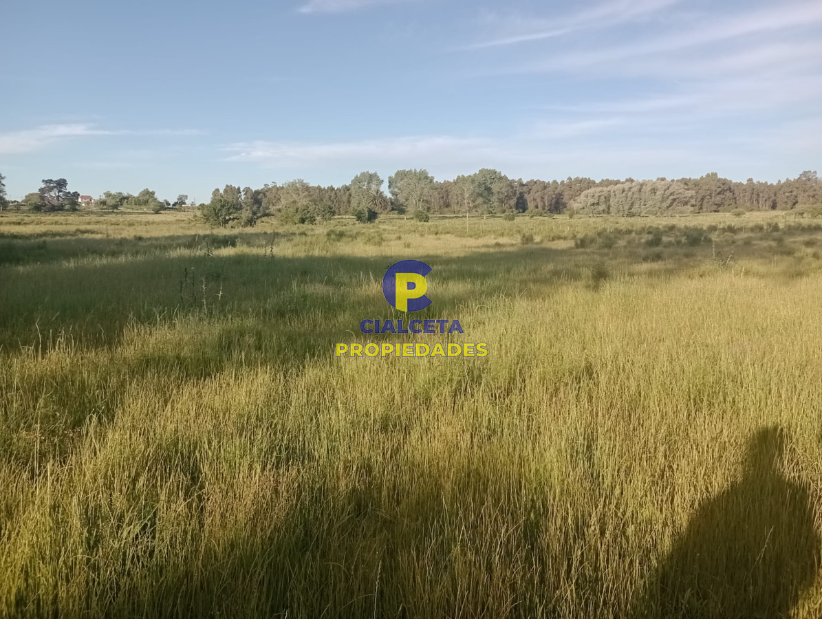 Chacra ID.389 - 3 hectáreas con casa a reparar en Soca
