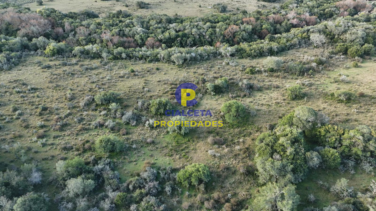 Chacra ID.571 - 3 hectáreas en Pueblo Edén con arroyo y monte nativo