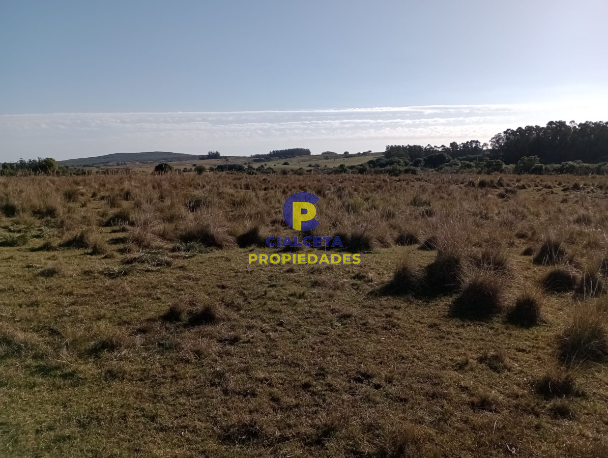Chacra ID.275 - 5 hectáreas en Garzón