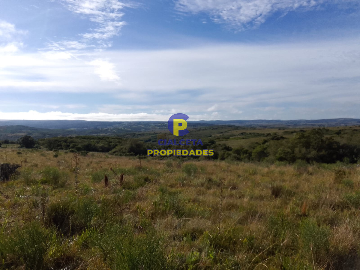 Las Cañas - GoPunta - Portal Inmobiliario de Punta del Este - Maldonado
