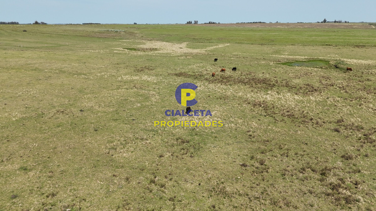 Chacra ID.531 - 5 hectáreas en Lavalleja con tajamar