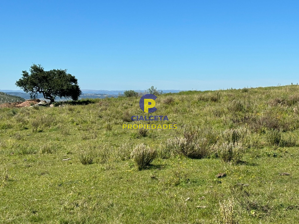 Chacra ID.423 - 5 hectáreas para 38.000 dólares, se financia