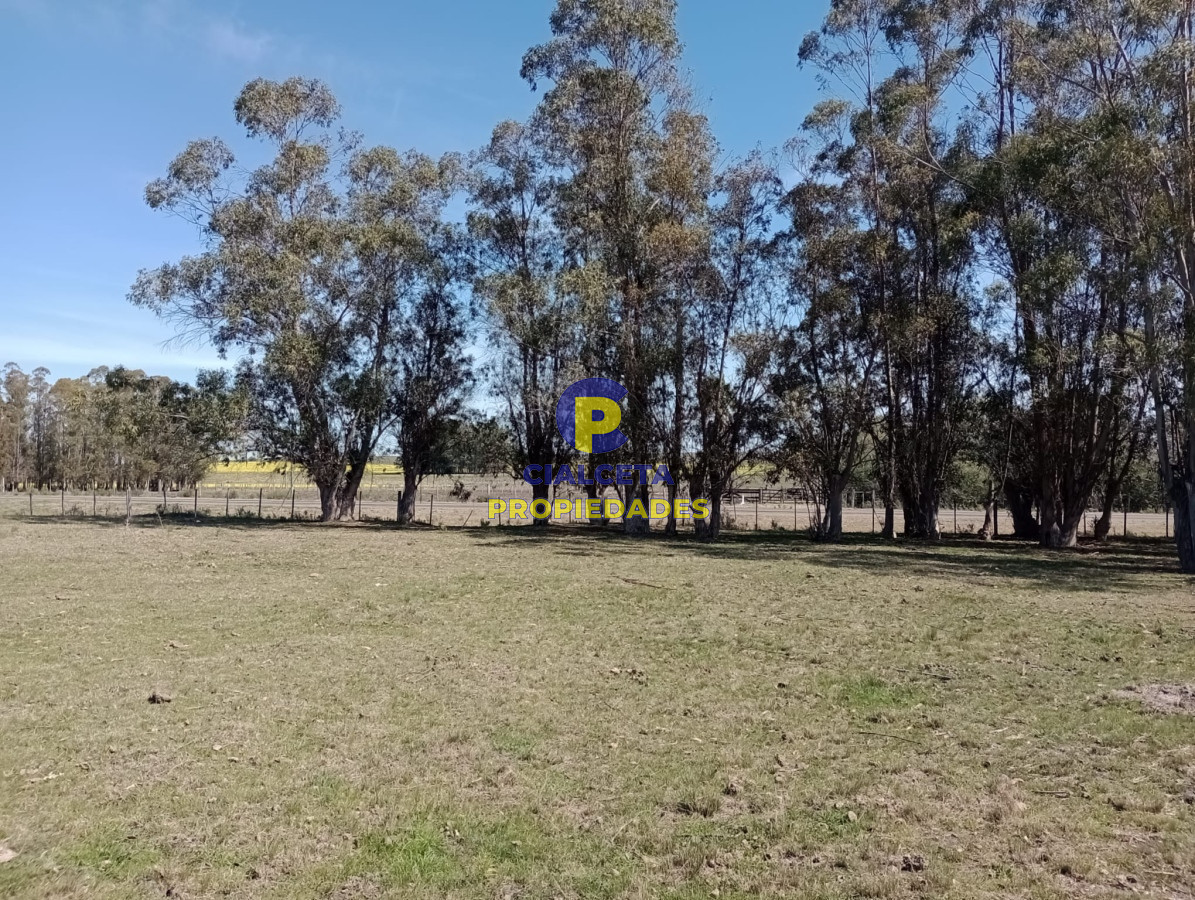 Chacra ID.336 - 5 hectáreas con 8200 metros en Lavalleja