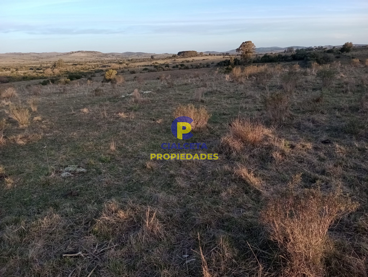 Chacra ID.299 - 6 hectáreas en Pueblo Edén