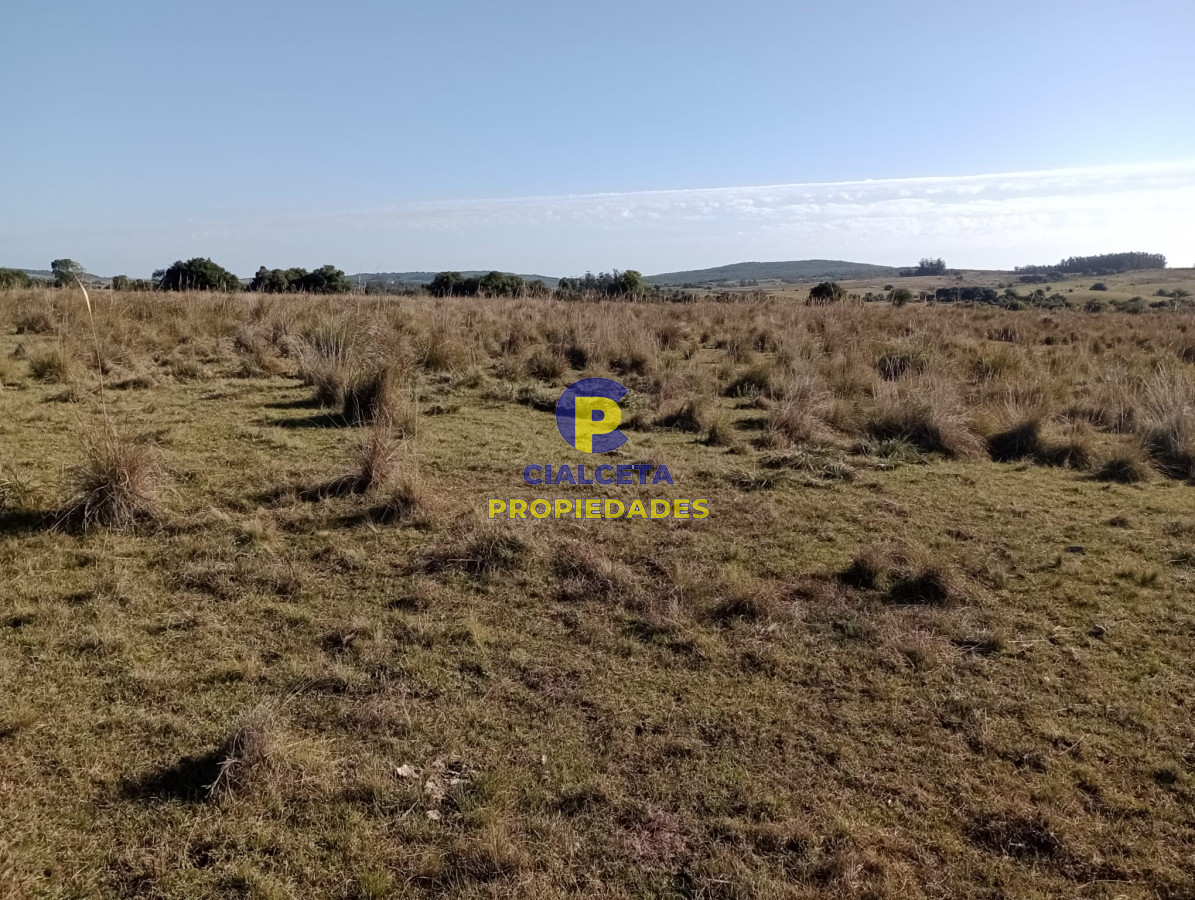 Chacra ID.275 - 5 hectáreas en Garzón