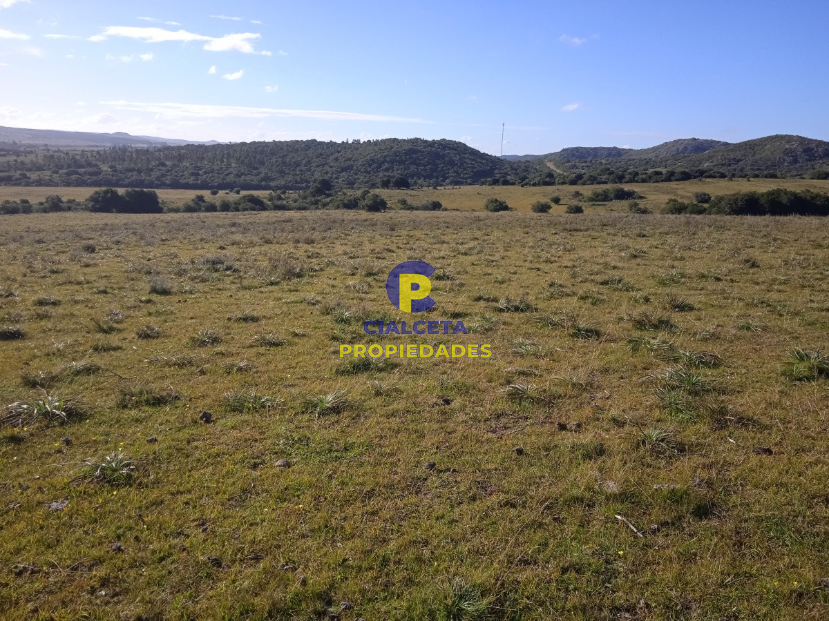 Chacra ID.44 - 5 hectáreas en ruta 39